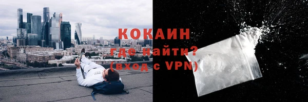 дмт Касимов