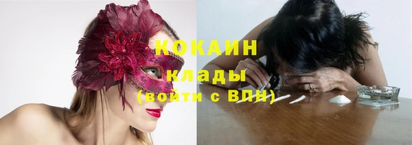 дмт Касимов