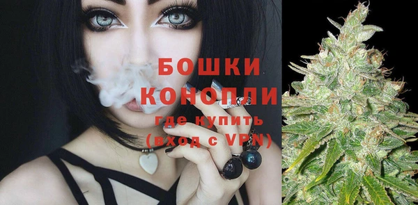 дмт Касимов