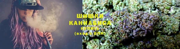 дмт Касимов