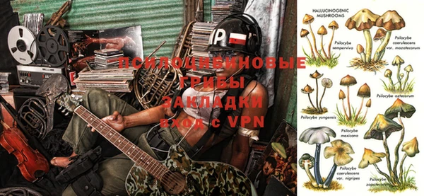 ALPHA PVP Карпинск