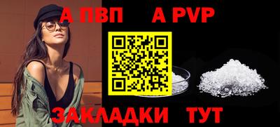 гидра Кингисепп