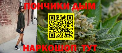 гидра Кингисепп