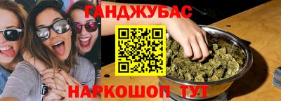 гидра Кингисепп