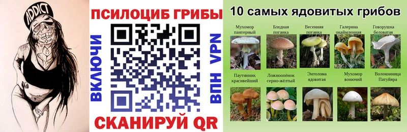 omg   darknet официальный сайт  Псилоцибиновые грибы ЛСД  Чебаркуль 