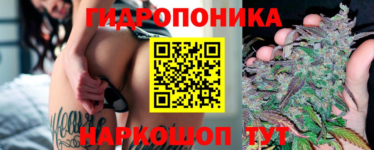 Шишки марихуана тримм  Каннабис AK-47  Чебаркуль  Вход с VPN 